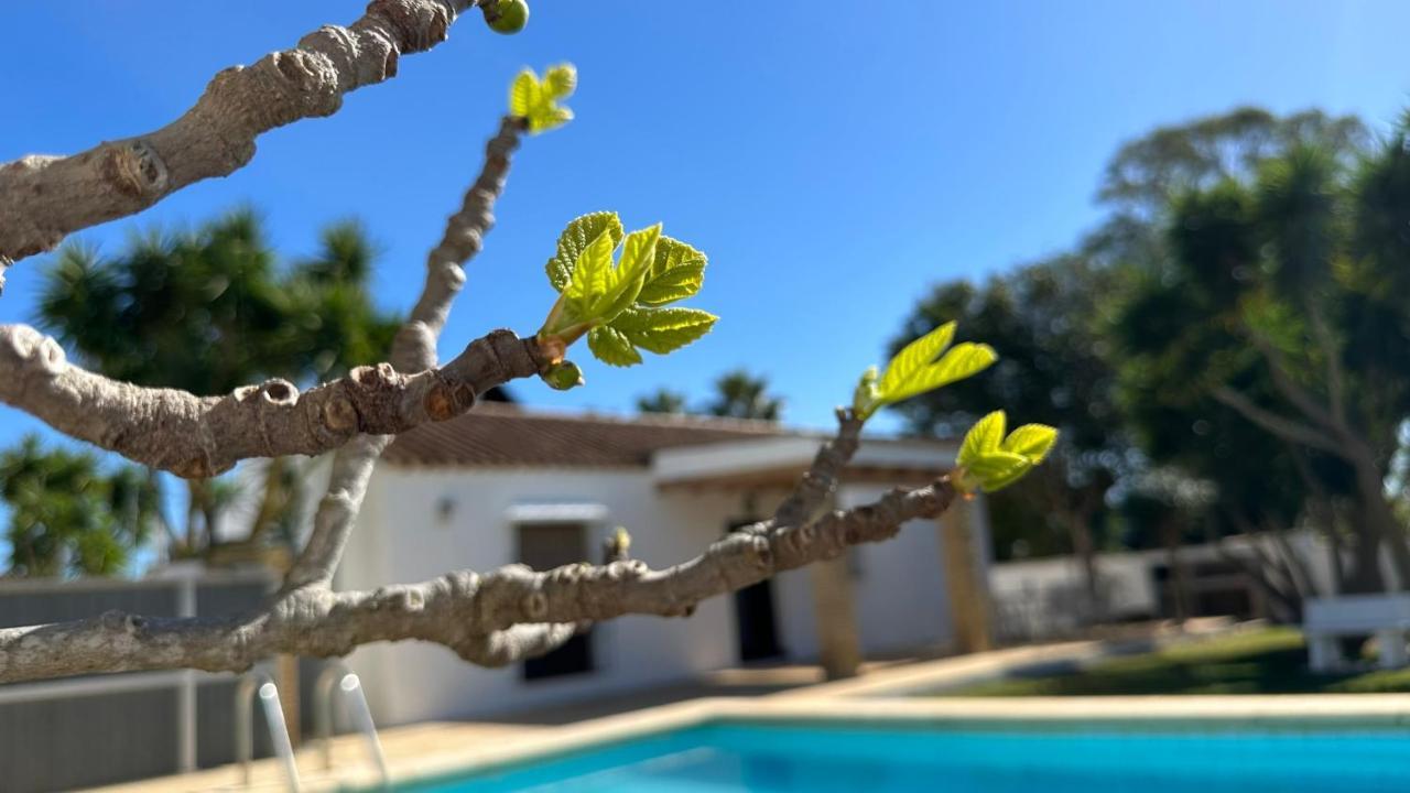 Vivienda Rural Atlantico Sur & Familias Pensionat Conil De La Frontera Eksteriør billede