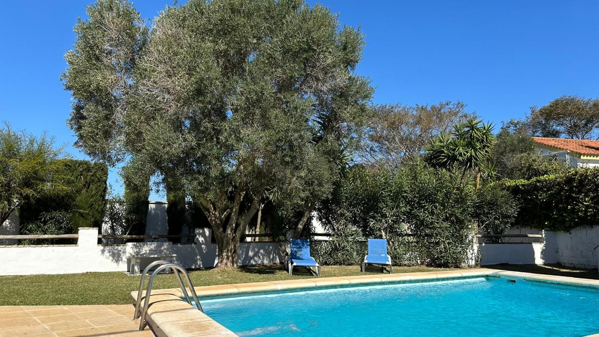 Vivienda Rural Atlantico Sur & Familias Pensionat Conil De La Frontera Eksteriør billede