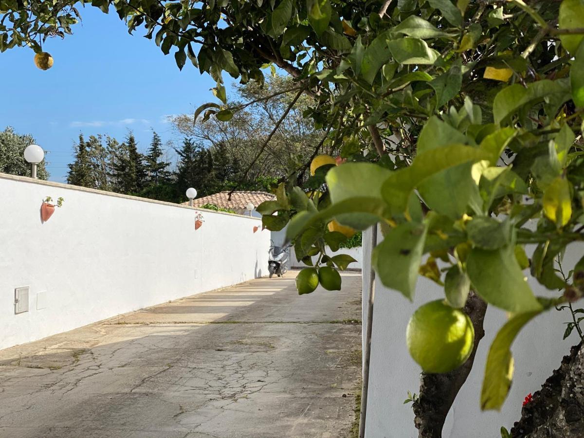 Vivienda Rural Atlantico Sur & Familias Pensionat Conil De La Frontera Eksteriør billede